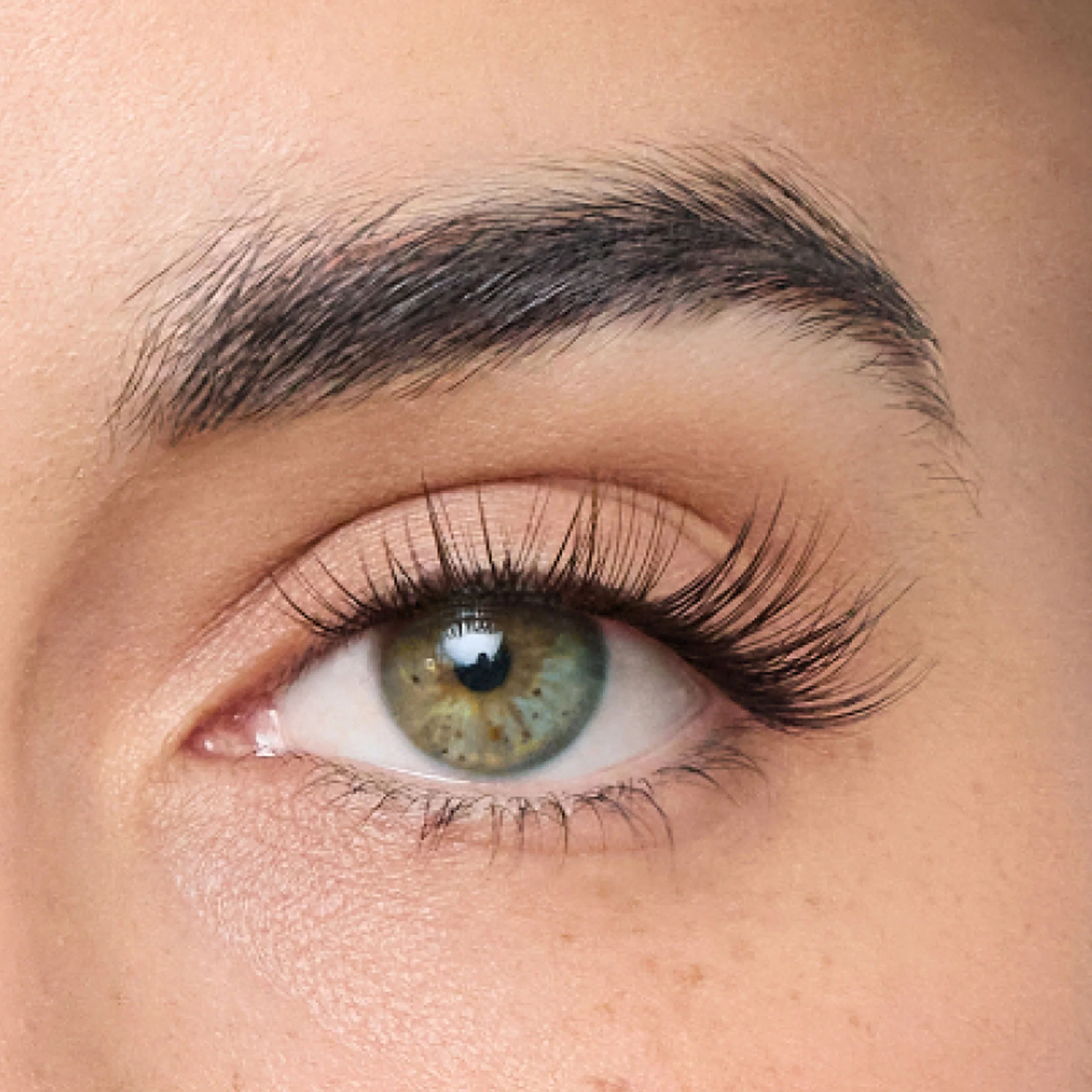 Tulip Gossamer® Lash - Image 73