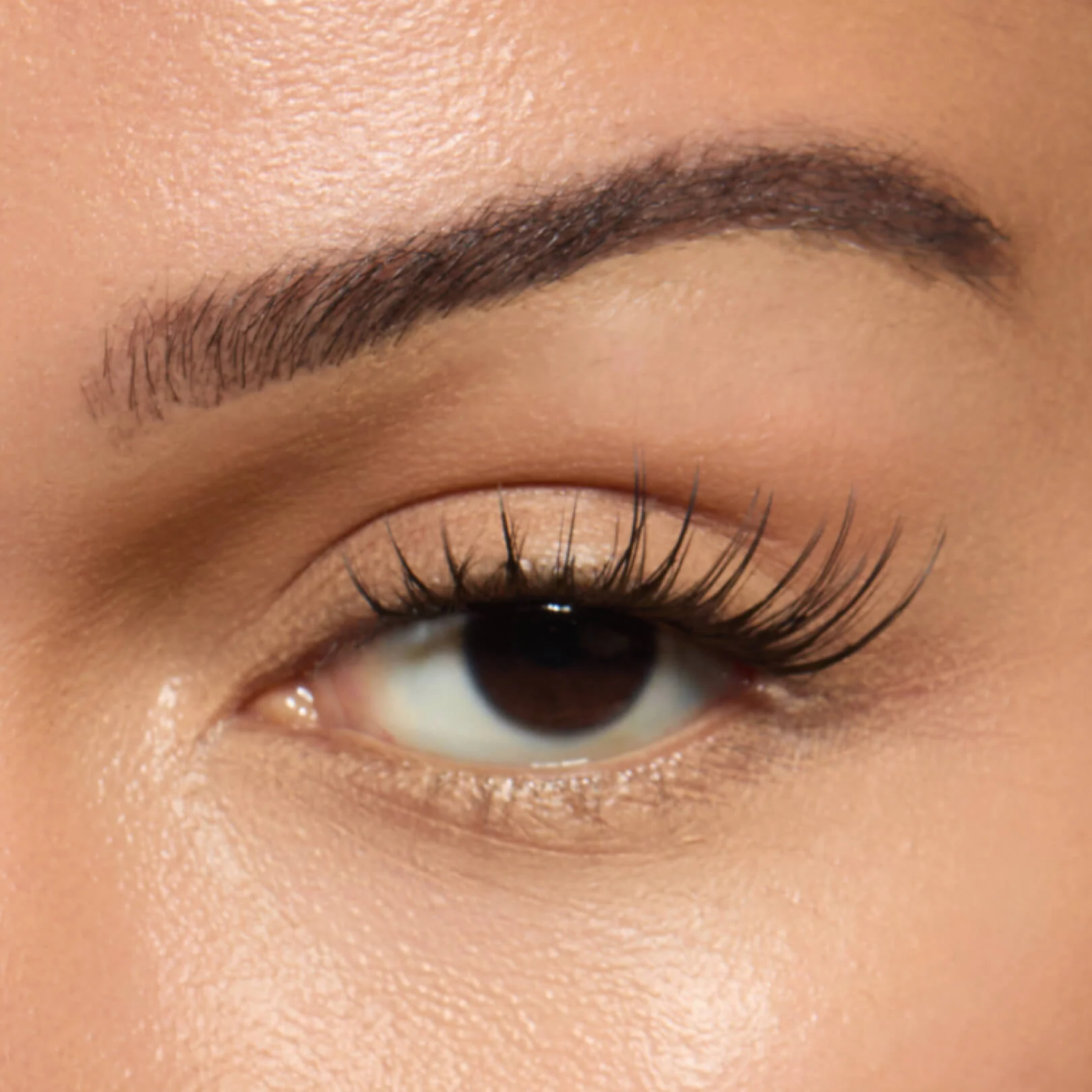 Wet Gossamer Lash™ - Image 27