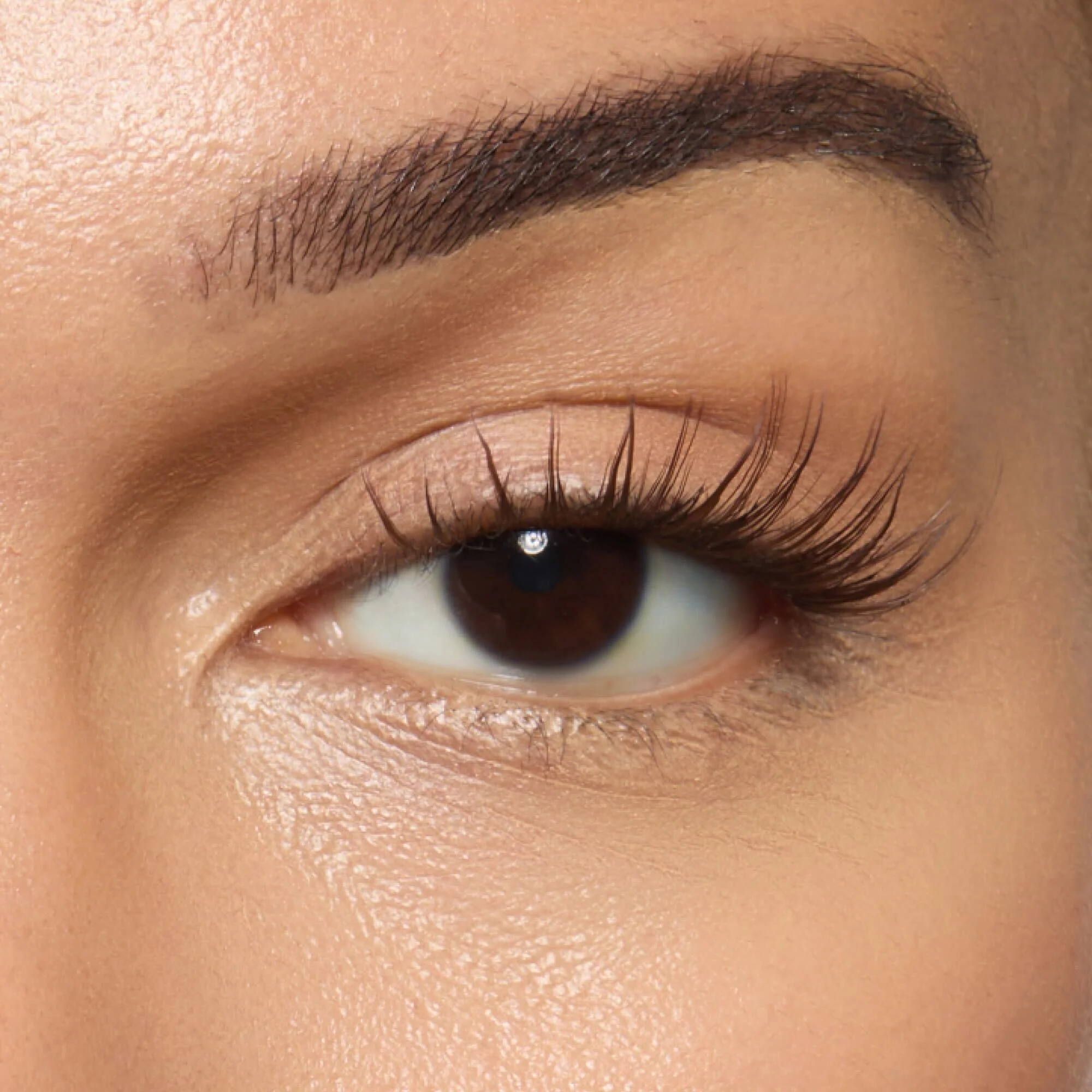 Wet Gossamer Lash™ - Image 28