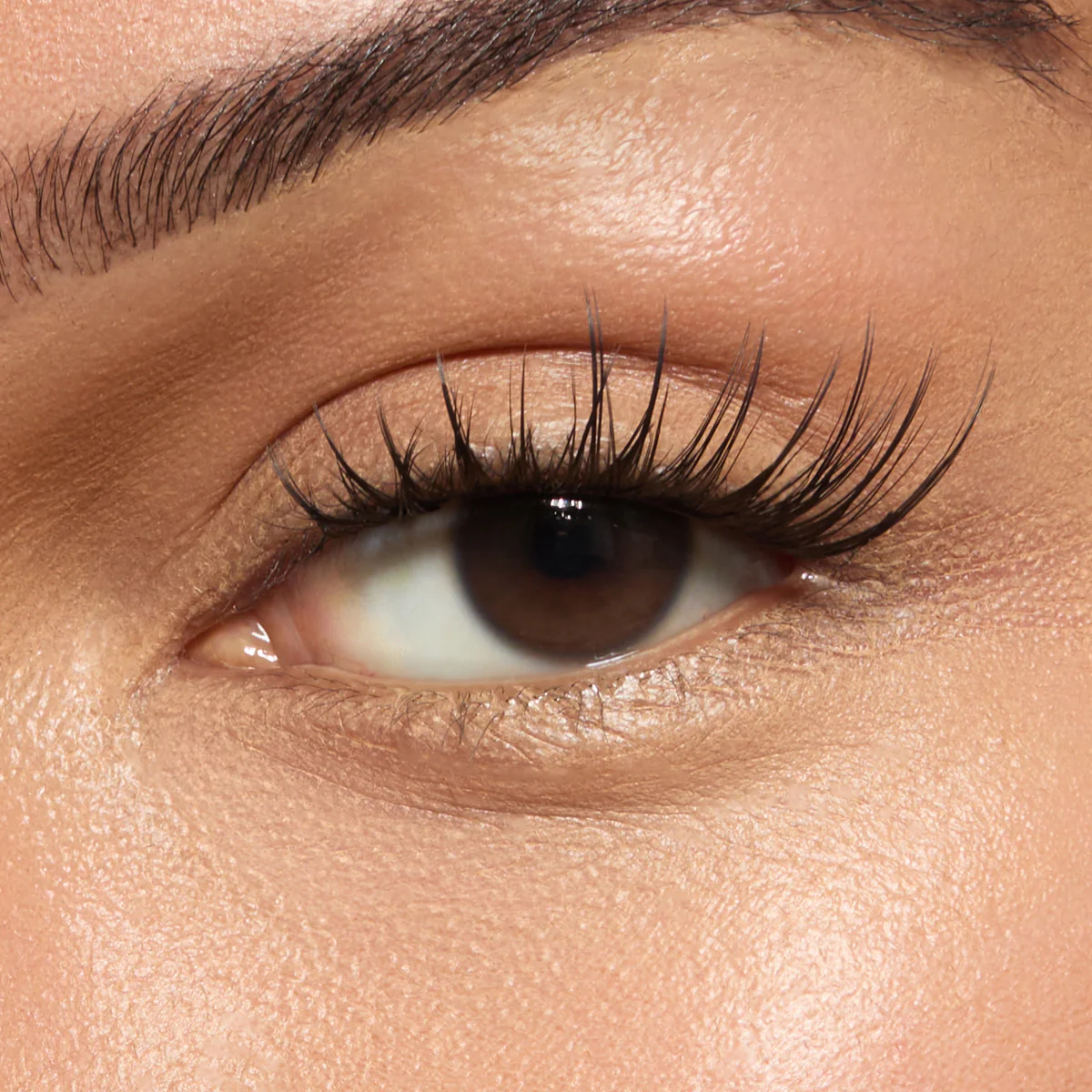 Wet Gossamer Lash™ - Image 29