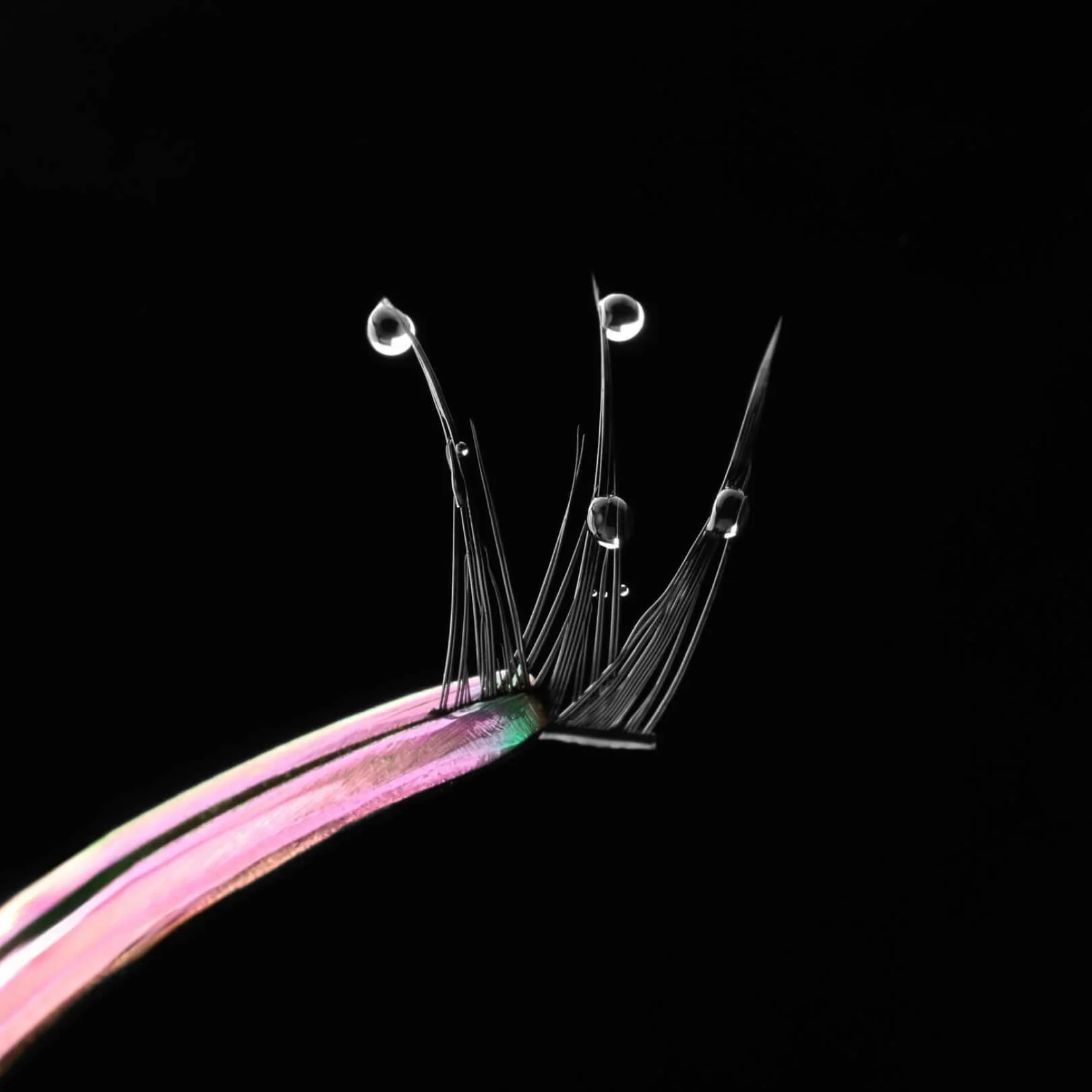 Wet Gossamer Lash™ - Image 32